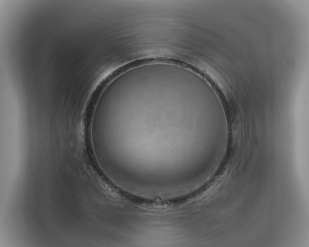 X0000112730975200908201322