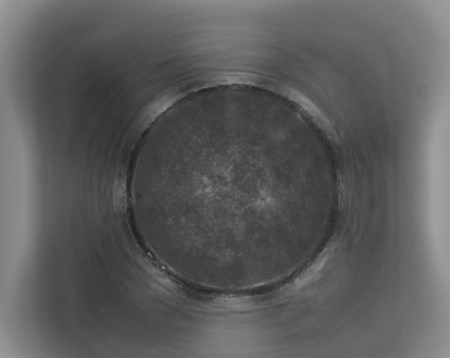 X0000112730977200908201322