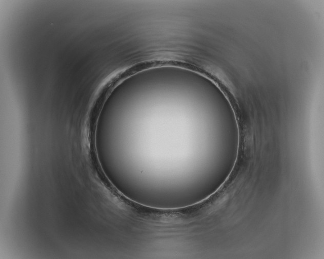 X0000112730979200908201322