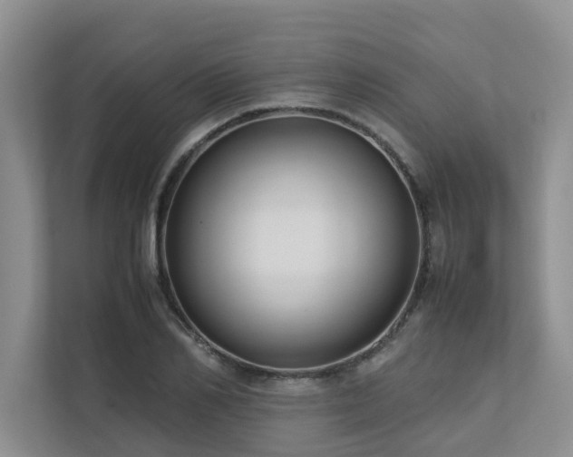 X0000112730982200908201322