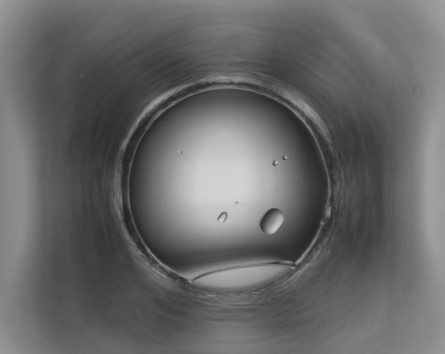 X0000112730984200908201322