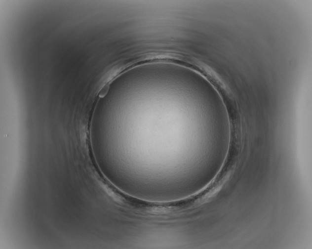 X0000112730985200908201322