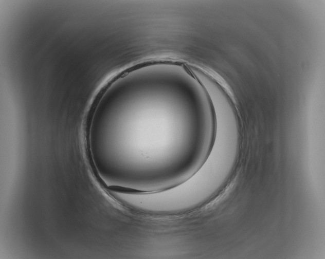 X0000112730989200908201322