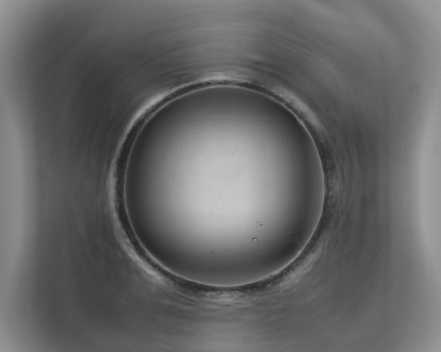 X0000112730991200908201322