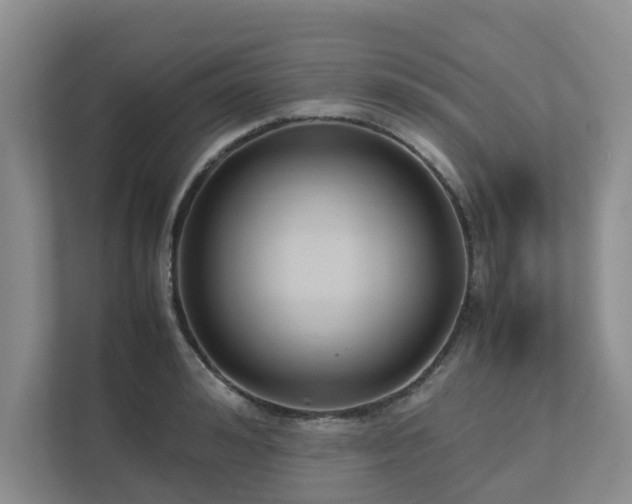 X0000112730992200908201322