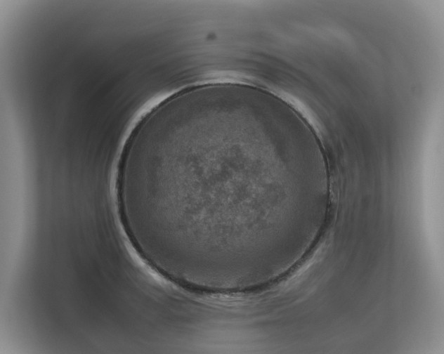 X0000112730995200908201322