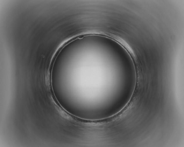 X0000112730996200908201322