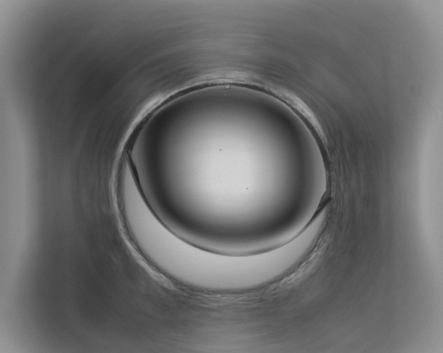 X0000112730997200908201322