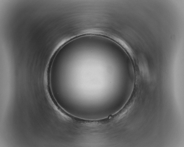 X0000112730999200908201322