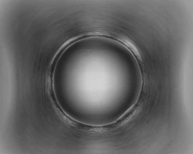 X0000112731000200908201322