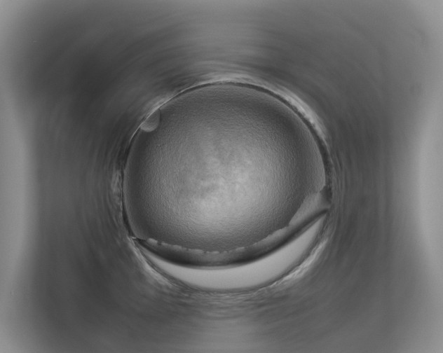 X0000112731001200908201322