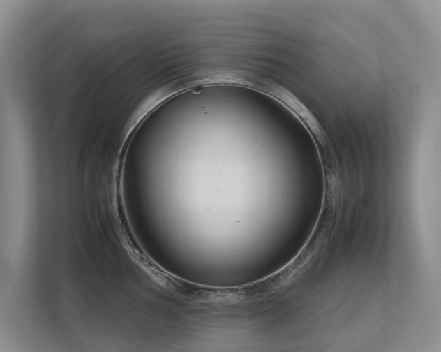 X0000112731002200908201322