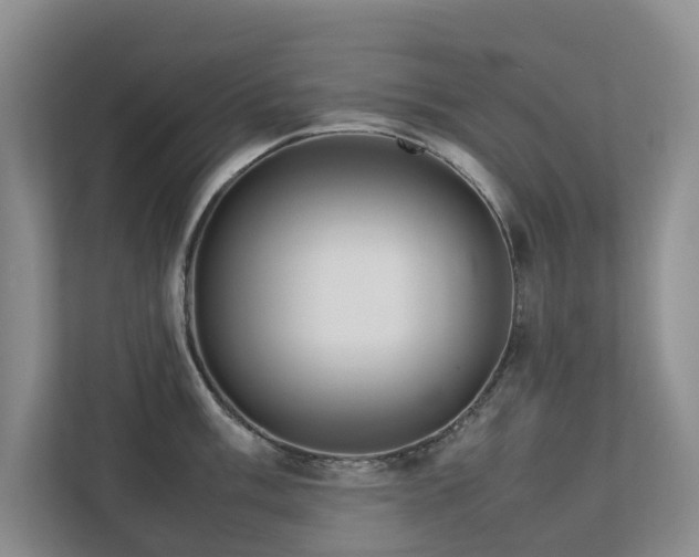 X0000112731003200908201322