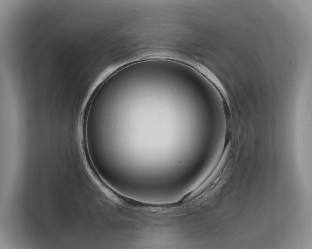 X0000112731005200908201322