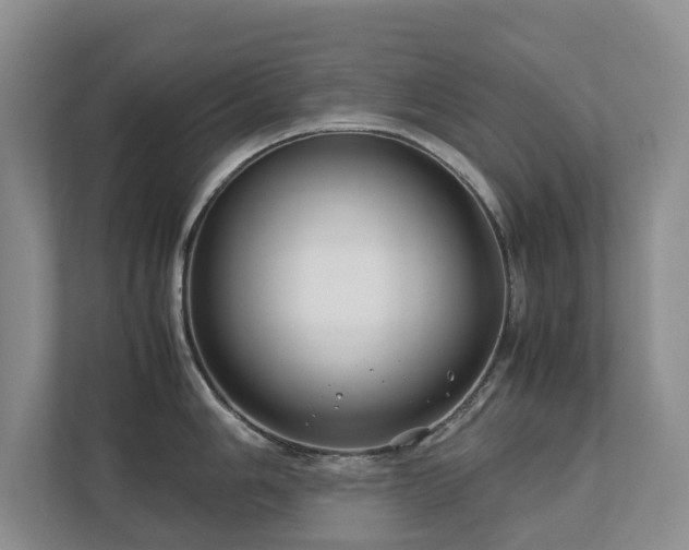 X0000112731006200908201322