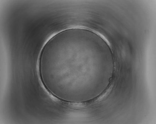 X0000112731007200908201322