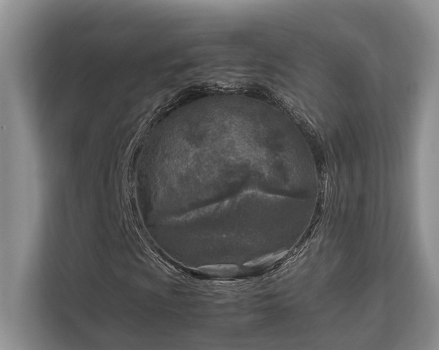 X0000112731009200908201321