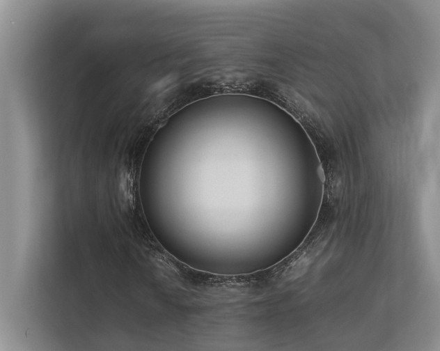 X0000112731010200908201321