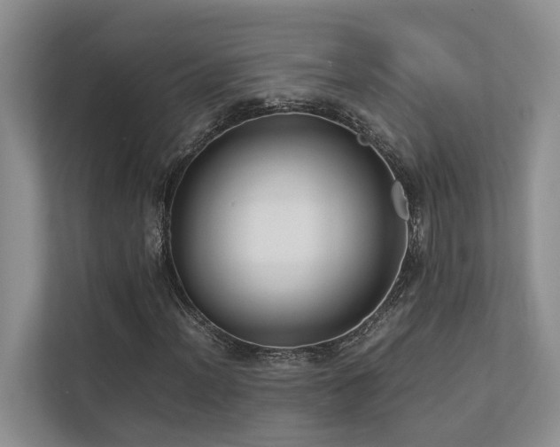 X0000112731012200908201321