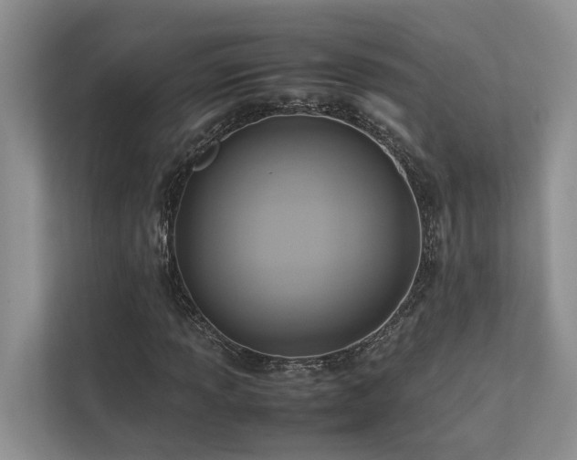 X0000112731013200908201321