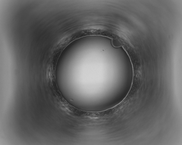 X0000112731014200908201321