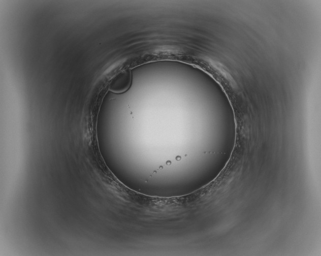 X0000112731015200908201321