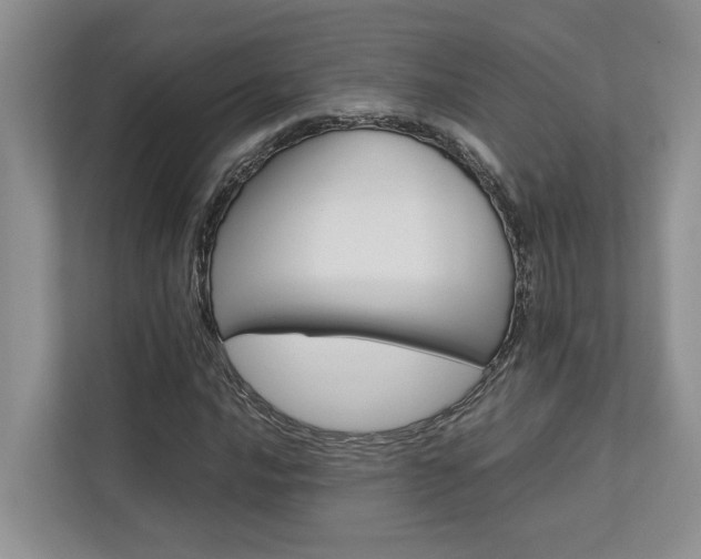 X0000112731016200908201321