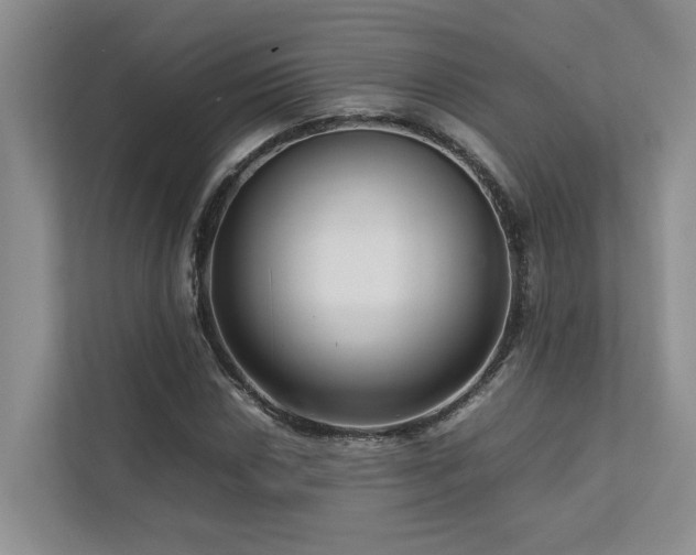 X0000112731018200908201321