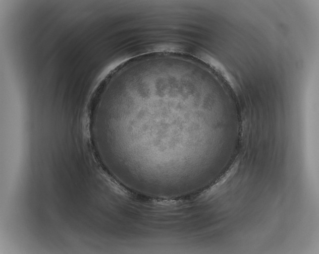 X0000112731019200908201321