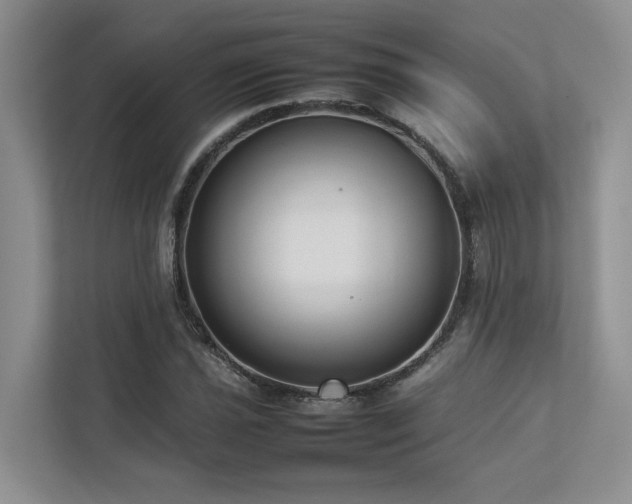 X0000112731021200908201321