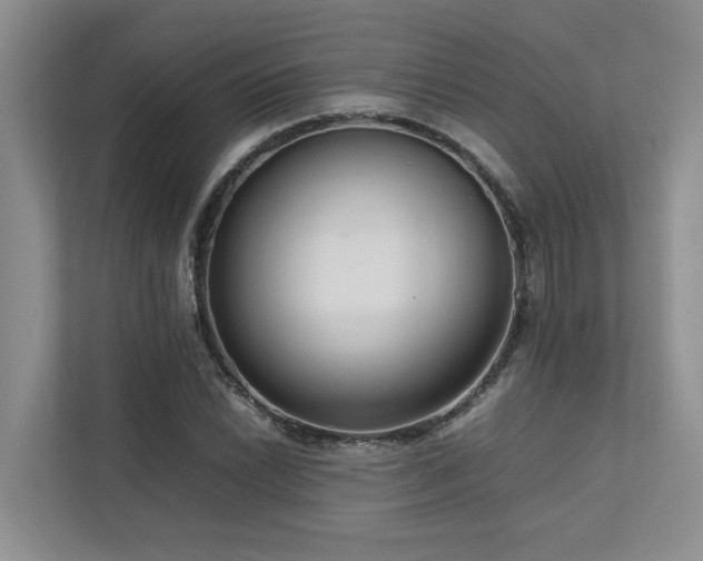 X0000112731022200908201321