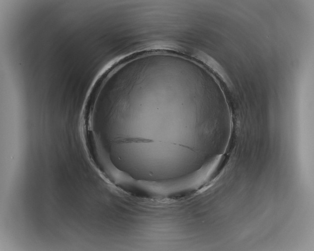 X0000112731024200908201321