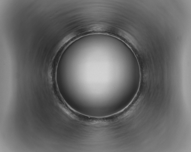 X0000112731026200908201321