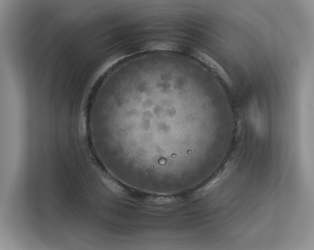 X0000112731027200908201321