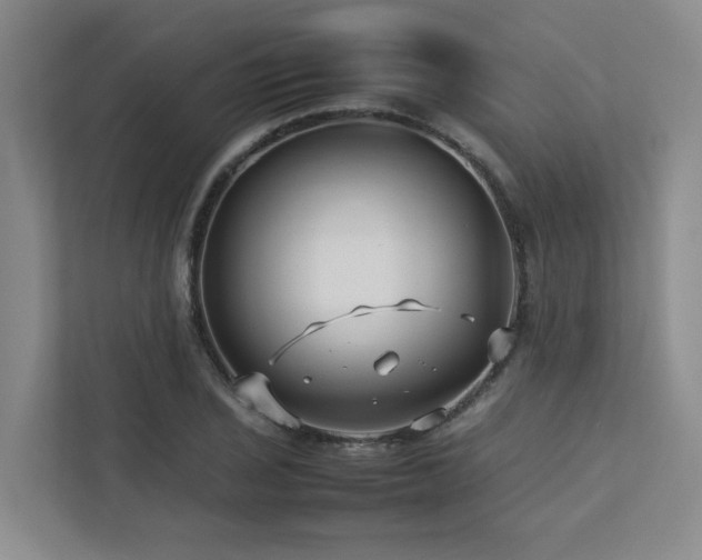 X0000112731029200908201321