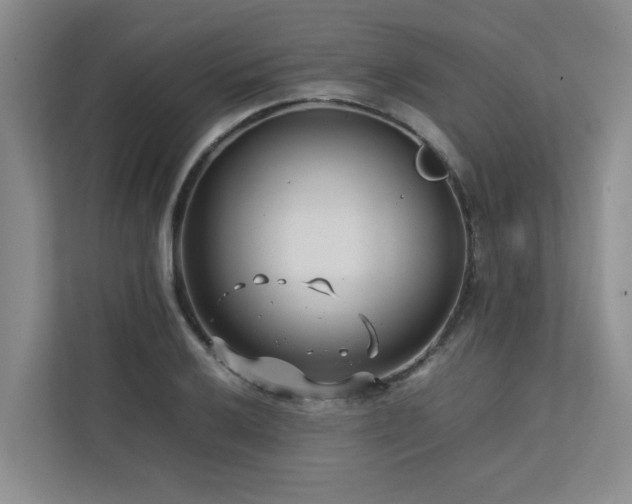 X0000112731032200908201322