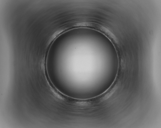 X0000112731033200908201322