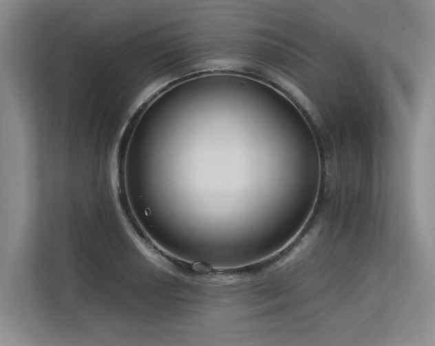 X0000112731034200908201322