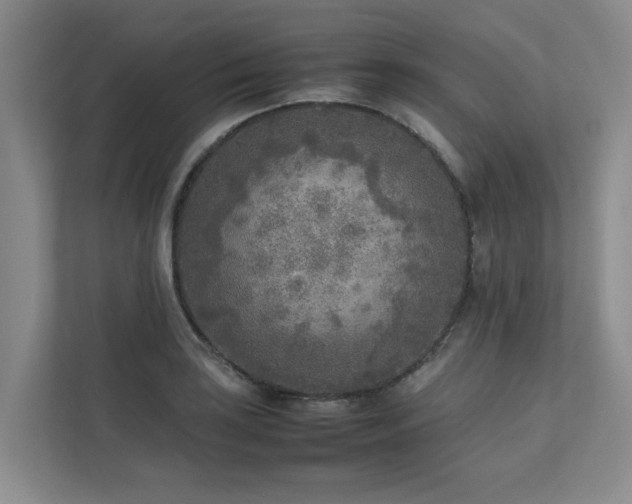 X0000112731035200908201322