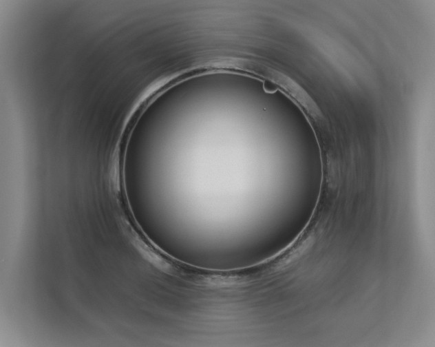 X0000112731036200908201322