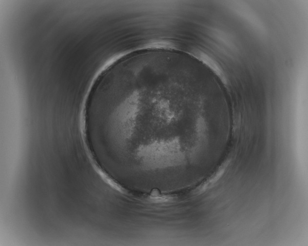 X0000112731037200908201322