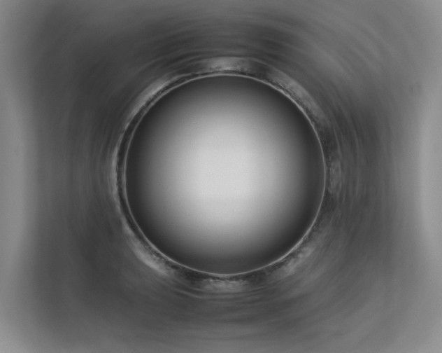 X0000112731039200908201322