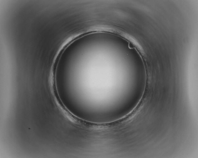 X0000112731040200908201322