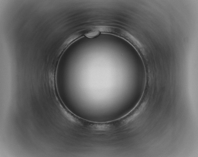 X0000112731041200908201322