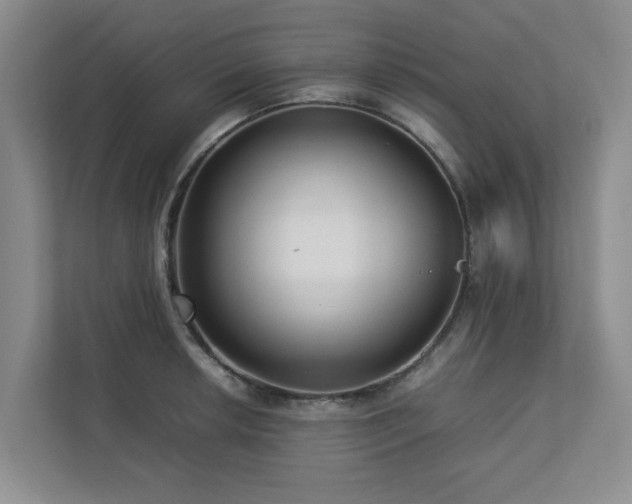 X0000112731042200908201322