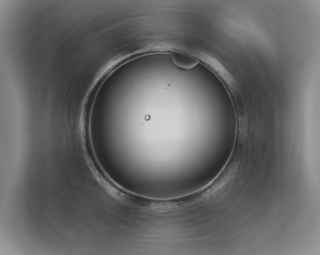 X0000112731046200908201322