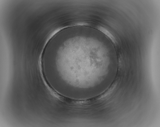 X0000112731047200908201322