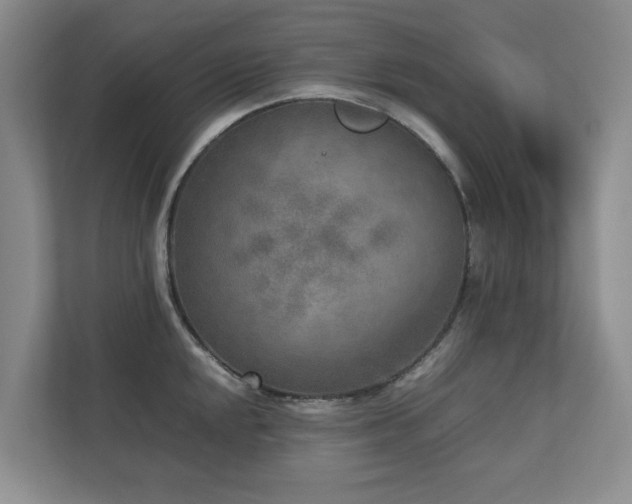 X0000112731048200908201322