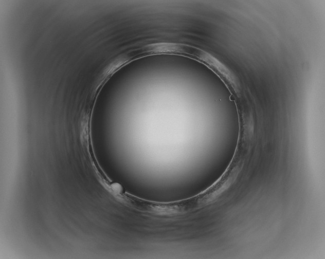 X0000112731049200908201322