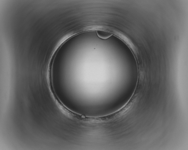 X0000112731050200908201322